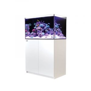 Red Sea Reefer 350 G3+ Blanc (Aqua + mbl)