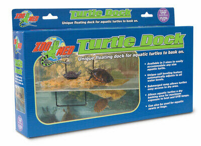 turtle dock large