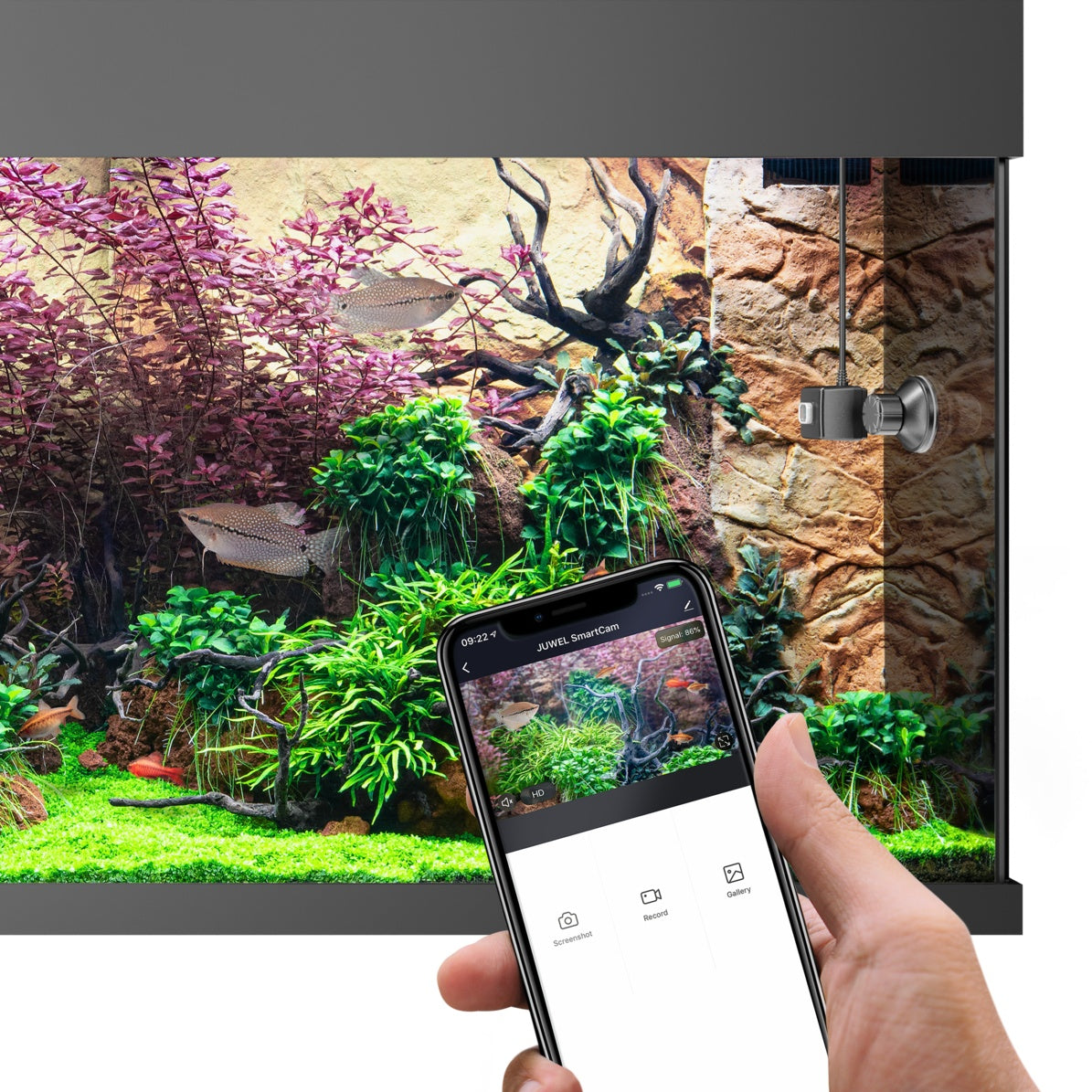 Juwel Smartcam 3