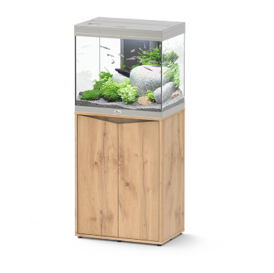 Splendid Ultra 60 Inox Aquarium