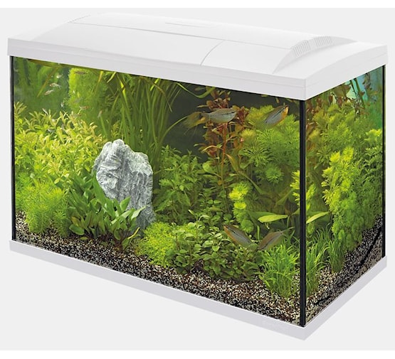 Superfish Start 150 tropical kit blanc