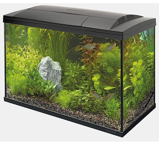 Superfish Start 150 tropical kit noir