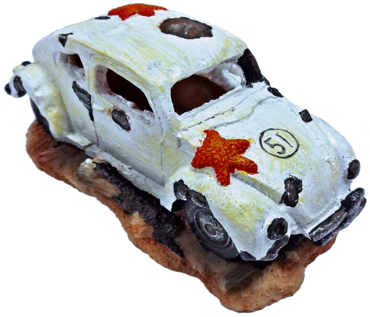 SuperFish Beetle car