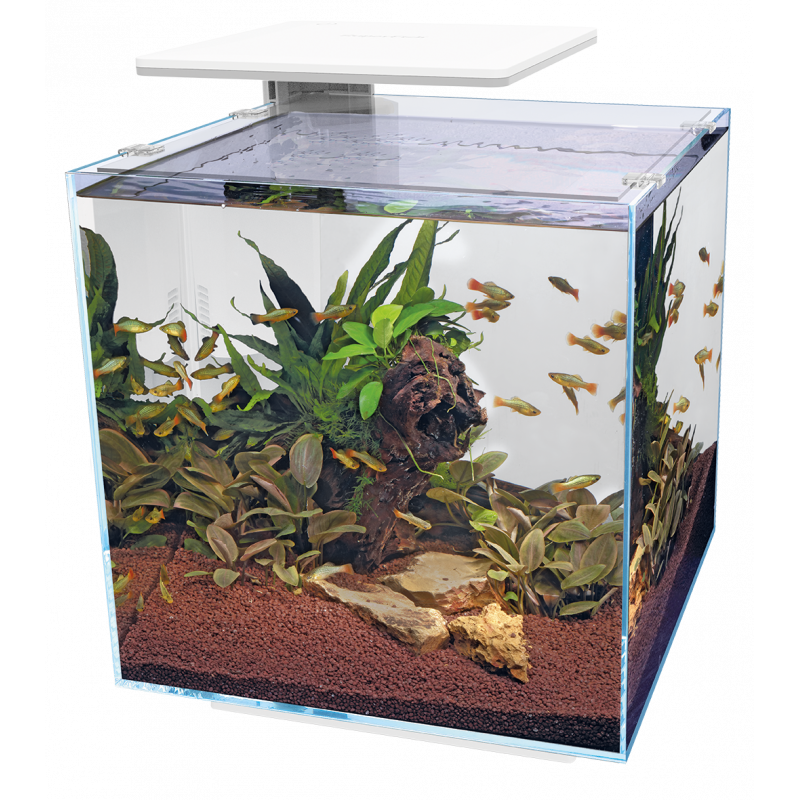 SuperFish qubiq 60 pro blanc 2