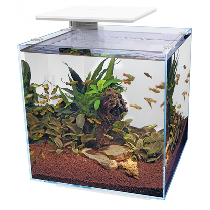 SuperFish qubiq 60 pro blanc 2