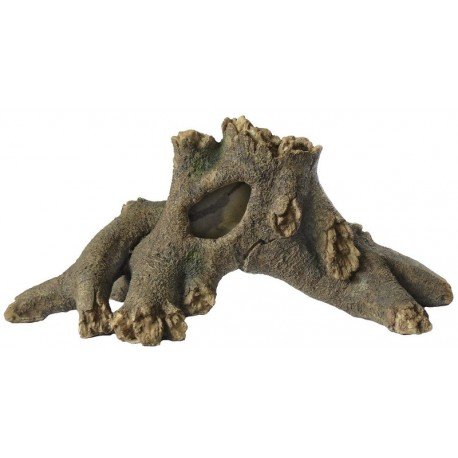 tree root L