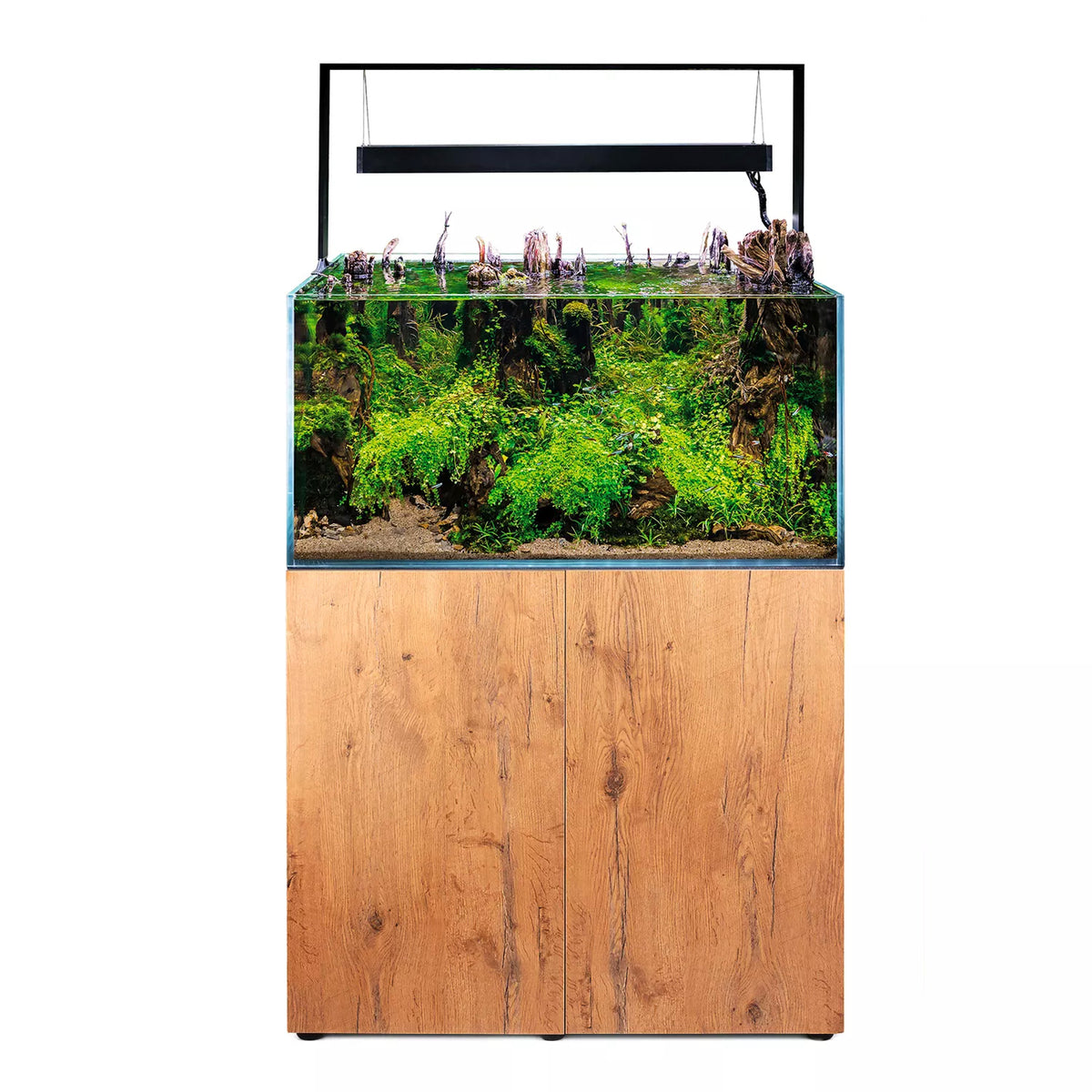 Aquael ultrascape 90 forest (240l) 2