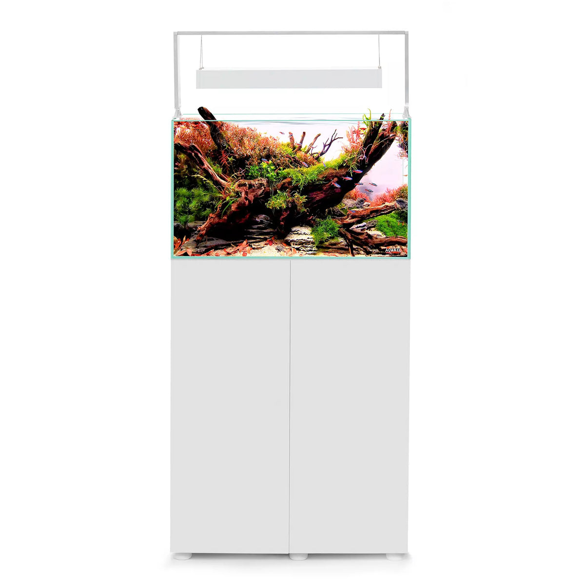 Aquael ultrascape 60 snow (64l) 2