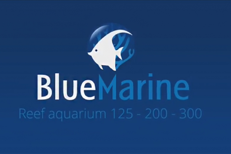Blue marine