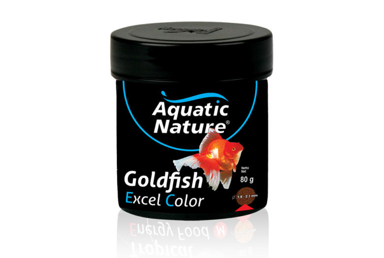 aquatic nature goldfish excel color