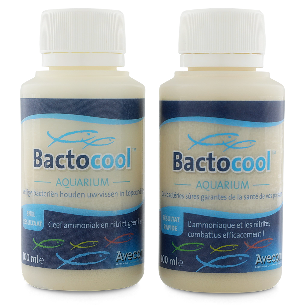 Bactocool 100ml