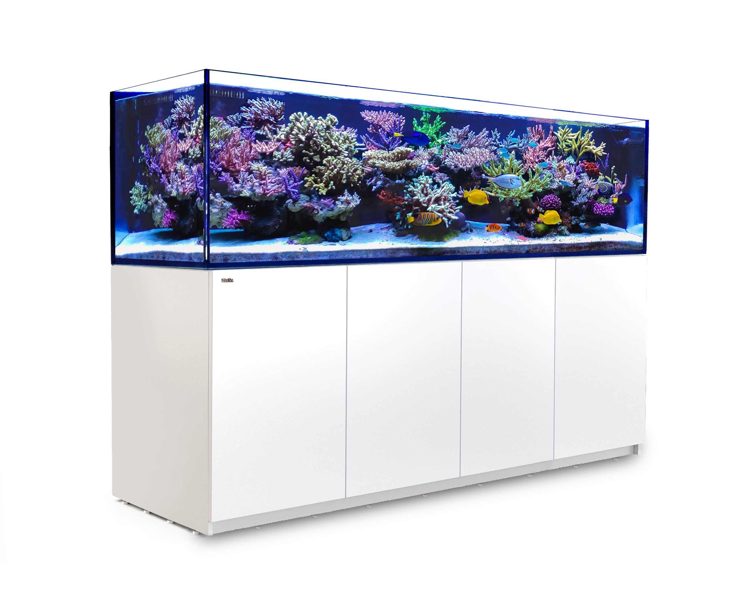 Red Sea Reefer"' 3XL 900 Blanc (Aqua + mbl)
