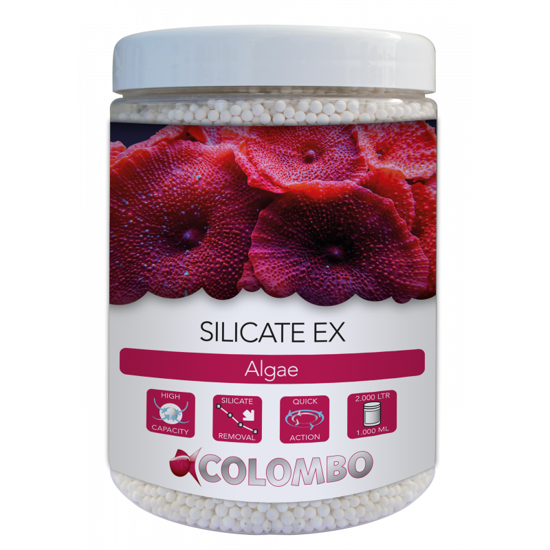 Colombo silicate ex 1l