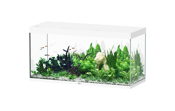 Aquatlantis Aquarium Sublime 150 x 60 blanc