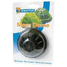superfish moss dome