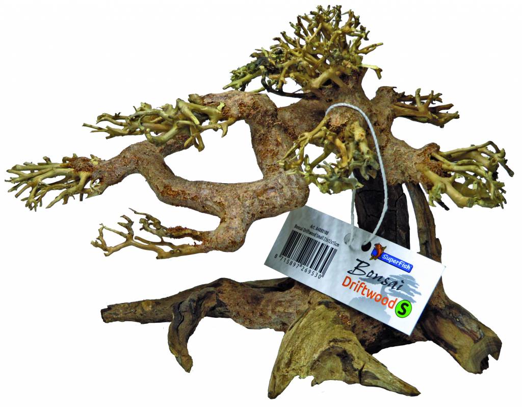superfish bonsai driftwood S