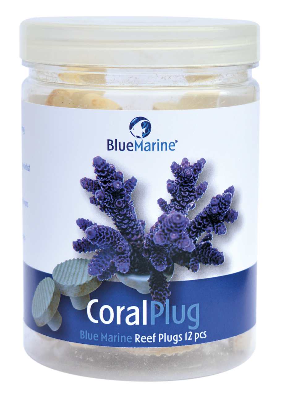 blue marine coral plug 24pcs