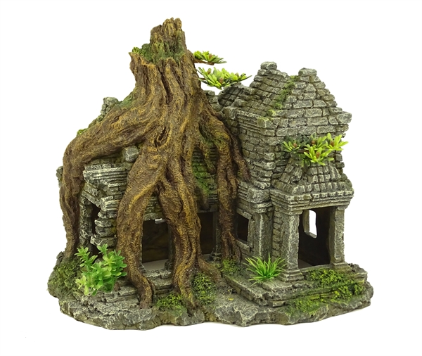 ankor tree house
