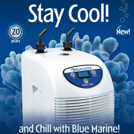 blue marine chiller 800