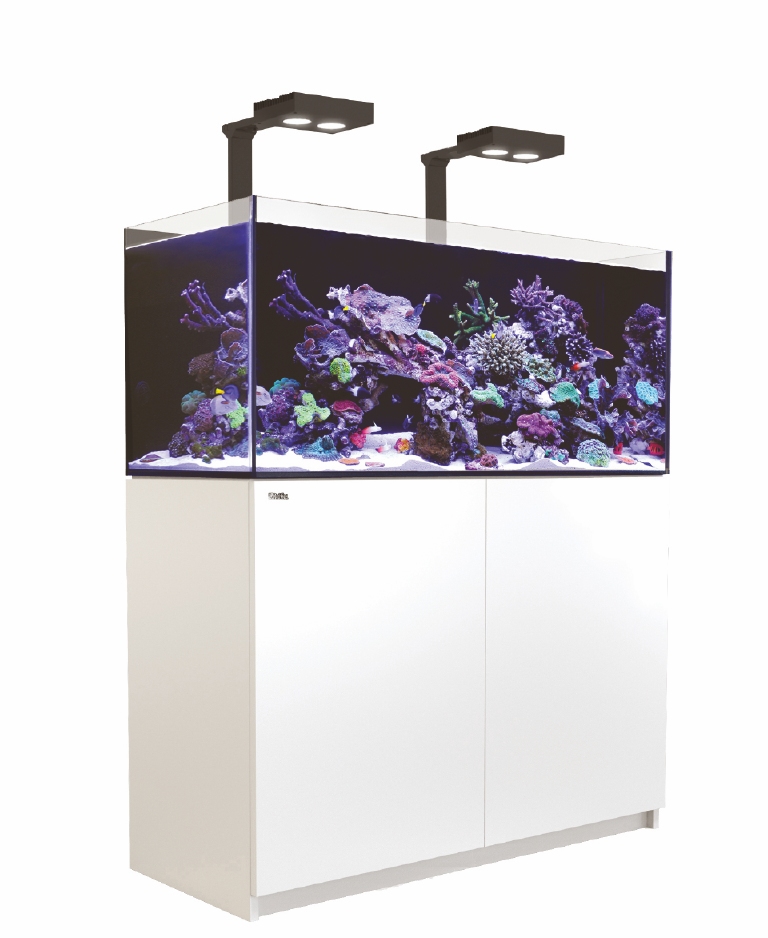 red sea reefer 350 deluxe avec meuble blanc