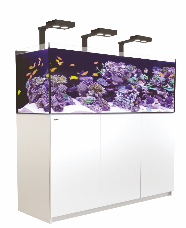red sea reefer 525 XL deluxe avec meuble blanc