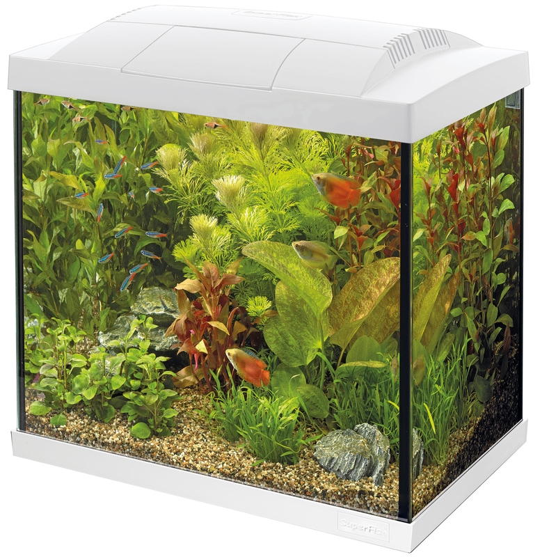 Aquarium Start 20 Goldfish Kit Noir - 20L - Superfish