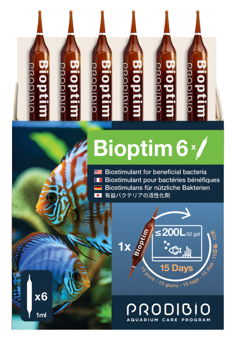 Bioptim 6 ampoules